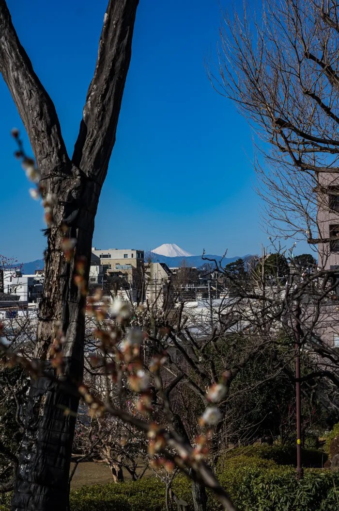 🏞️ 하네기 공원 이미지 13